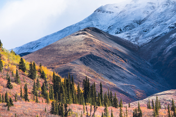 Yukon Scenics