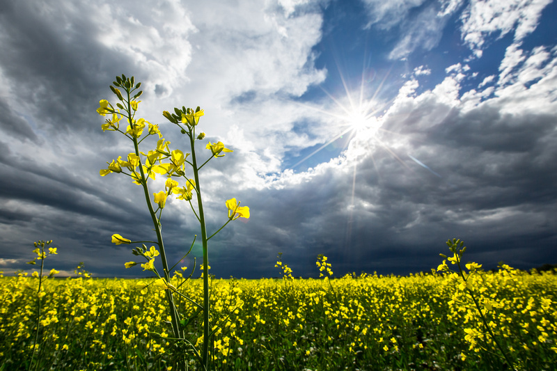 Neil Zeller Photography | Explore Alberta