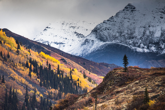 Yukon Scenics