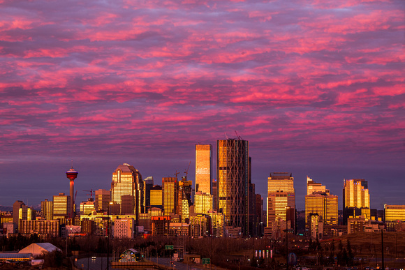 Calgary Pink Morning