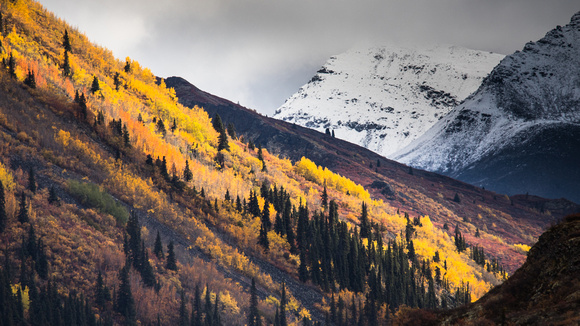 Yukon Scenics